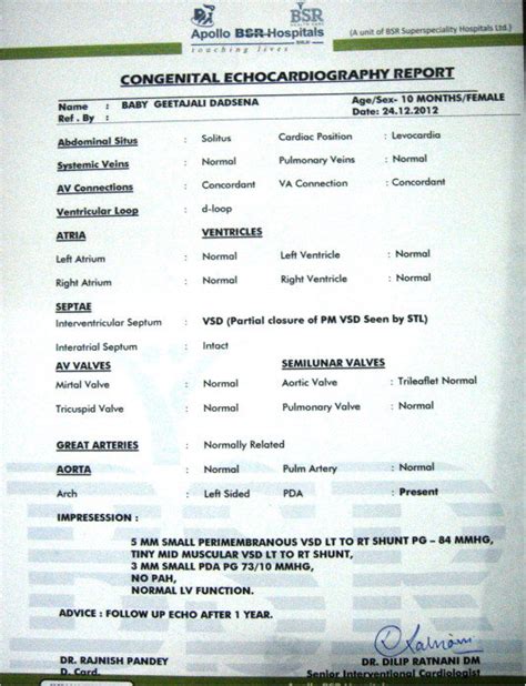 2d echo test report.